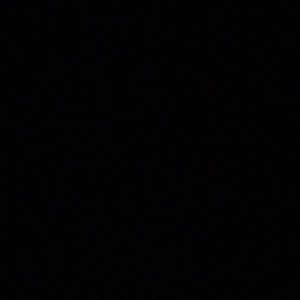 Meet your Posher, Cody